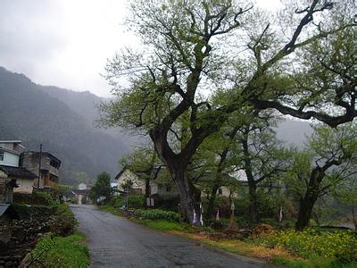 池州石台天气预报_石台天气预报一周7天池州石台天气预报,石台天气预报一周7天