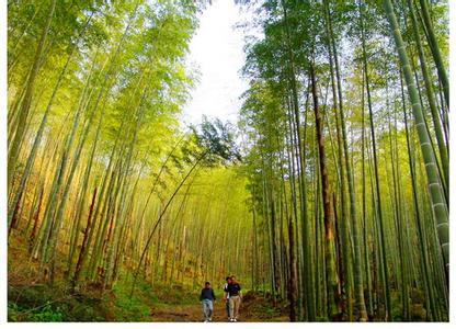 南平顺昌天气预报_顺昌天气预报一周7天南平顺昌天气预报,顺昌天气预报一周7天