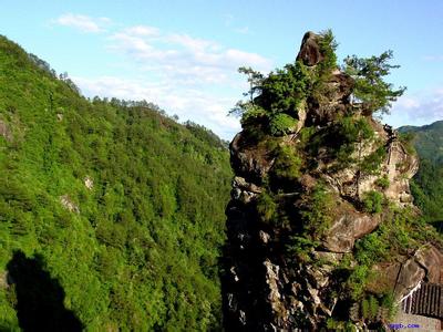 宁德寿宁天气预报_寿宁天气预报一周7天宁德寿宁天气预报,寿宁天气预报一周7天