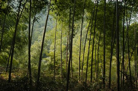 江西宜春天气预报_宜春天气预报一周7天江西宜春天气预报,宜春天气预报一周7天