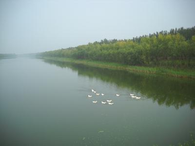 济南商河天气预报_商河天气预报一周7天济南商河天气预报,商河天气预报一周7天