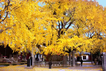 日照莒县天气预报_莒县天气预报一周7天日照莒县天气预报,莒县天气预报一周7天