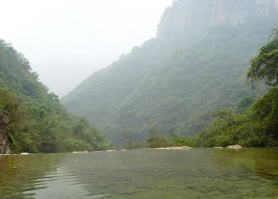 焦作温县天气预报_温县天气预报一周7天焦作温县天气预报,温县天气预报一周7天