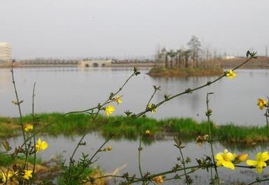 武汉青山天气预报_青山天气预报一周7天武汉青山天气预报,青山天气预报一周7天