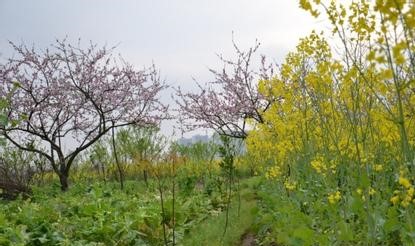 邵阳北塔天气预报_北塔天气预报一周7天邵阳北塔天气预报,北塔天气预报一周7天