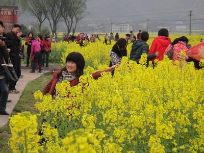 娄底双峰天气预报_双峰天气预报一周7天娄底双峰天气预报,双峰天气预报一周7天