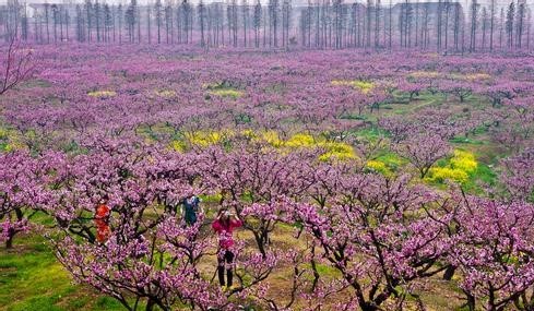 清远阳山天气预报_阳山天气预报一周7天清远阳山天气预报,阳山天气预报一周7天