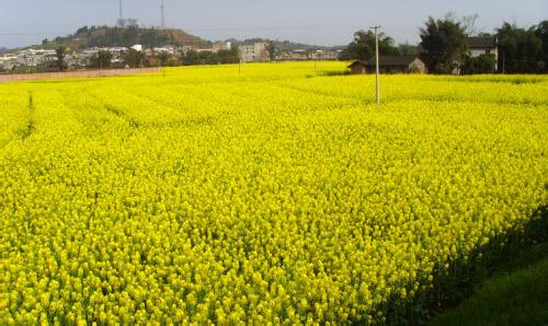 重庆潼南天气预报_潼南天气预报一周7天重庆潼南天气预报,潼南天气预报一周7天