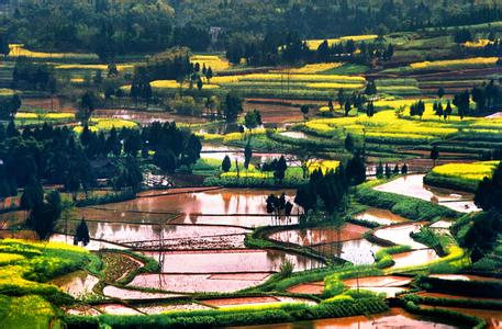 资阳安岳天气预报_安岳天气预报一周7天资阳安岳天气预报,安岳天气预报一周7天