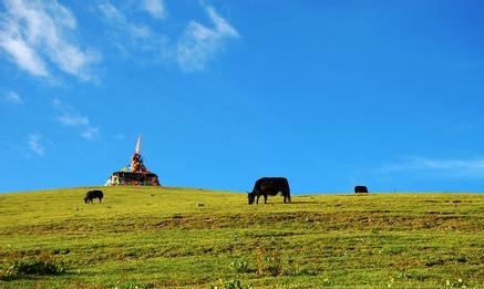 甘孜理塘天气预报_理塘天气预报一周7天甘孜理塘天气预报,理塘天气预报一周7天