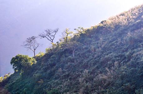 临沧耿马天气预报_耿马天气预报一周7天临沧耿马天气预报,耿马天气预报一周7天