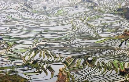 红河红河县天气预报_红河县天气预报一周7天红河红河县天气预报,红河县天气预报一周7天