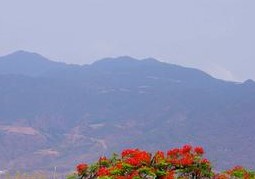 大理宾川天气预报_宾川天气预报一周7天大理宾川天气预报,宾川天气预报一周7天