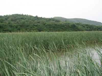 铜川宜君天气预报_宜君天气预报一周7天铜川宜君天气预报,宜君天气预报一周7天