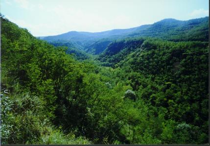 平凉泾川天气预报_泾川天气预报一周7天平凉泾川天气预报,泾川天气预报一周7天