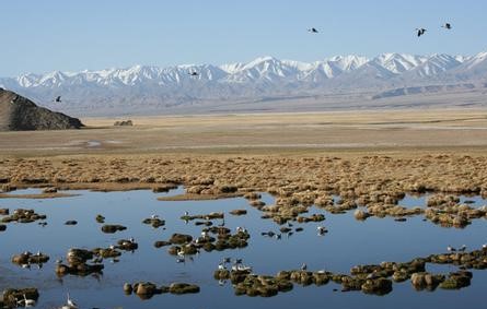 酒泉肃北天气预报_肃北天气预报一周7天酒泉肃北天气预报,肃北天气预报一周7天