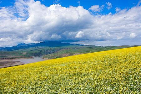 伊犁巩留天气预报_巩留天气预报一周7天伊犁巩留天气预报,巩留天气预报一周7天