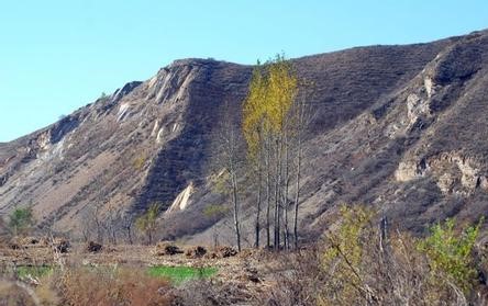 铁岭县pm2.5实时查询,铁岭县空气质量指数查询