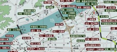 滨江天气15天查询