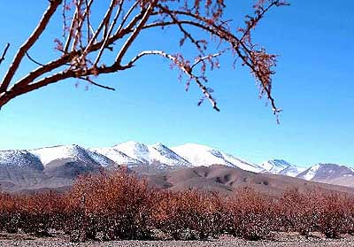 噶尔天气15天查询