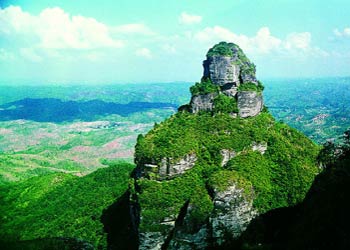 龙川天气15天查询