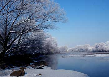 林口天气15天查询