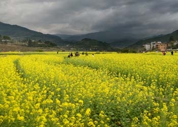 闽侯天气15天查询