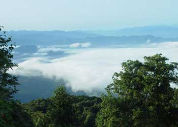 屏山天气15天查询