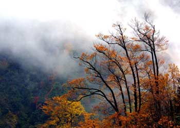 千阳天气15天查询