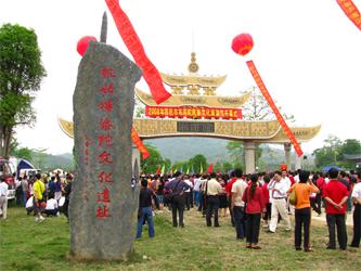 田阳天气15天查询