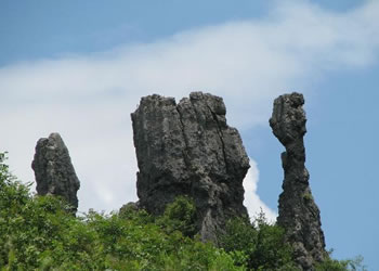 务川天气15天查询