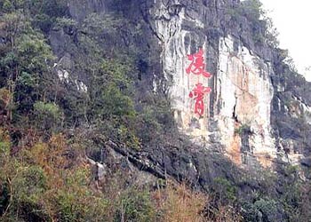 阳春天气15天查询