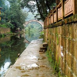 雨城天气15天查询