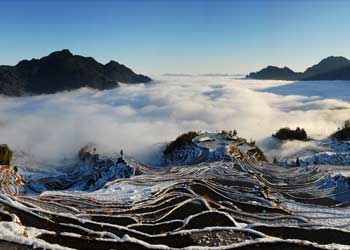 云和天气15天查询