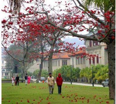 厦门大学