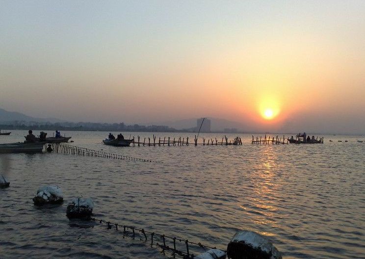 厦门集美区杏林马銮湾海钓场天气