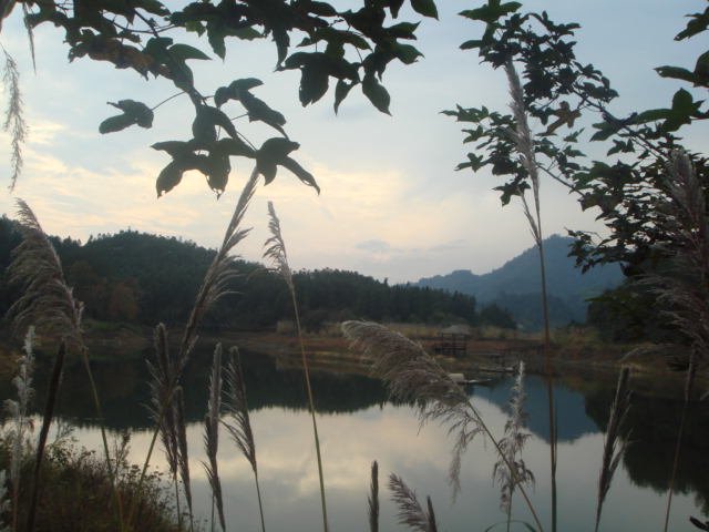 杭州千岛湖西南湖区——龙川湾天气