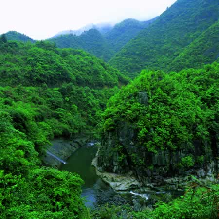 温州瑶溪天气