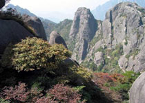 黄山桃花峰天气