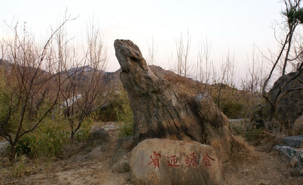 临沂指动石旅游区天气