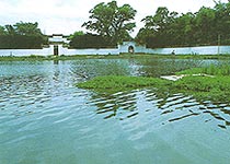 青云谱八大山人故居天气