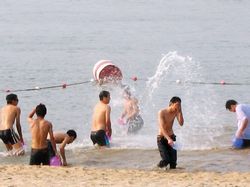 佛山南海大湿地公园