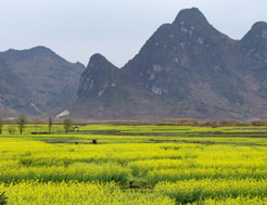 东莞马山仙境天气