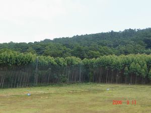 潮州红山森林公园天气