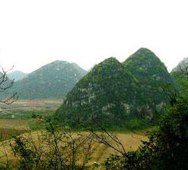 柳州大桥农业旅游区天气