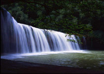 赤水四洞沟景区天气