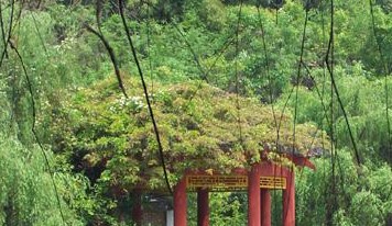 绵阳老龙山天气