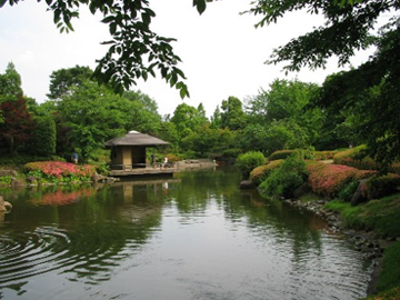 雅安张家山公园