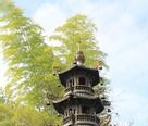 建宁聚龙寺